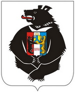Видеоконференция с Хабаровским краем